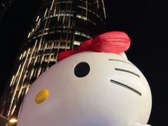 -深圳湾万象城(南山店)