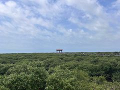 -北海金海湾红树林生态旅游区