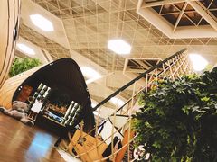 -盖达尔·阿利耶夫国际机场