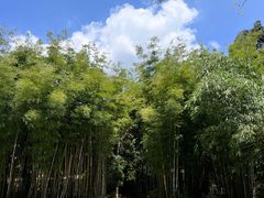 -林丰温泉度假山庄