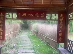 -莫干山风景区