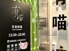 -有喵·猫咖·狗咖·30几只猫10只小狗(岗厦店)