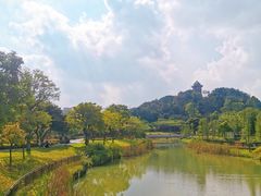 -王借岗森林公园