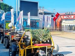 -巨鹏飞梦幻海岸