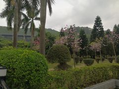 -威远炮台
