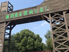 -溱湖国家湿地公园