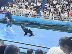 -洛阳龙门海洋馆