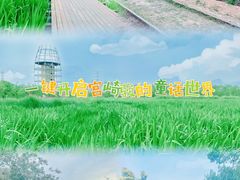 -永定河休闲森林公园