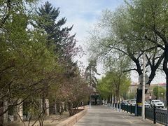 -群力丁香公园