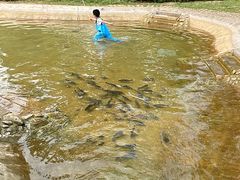 -静之湖度假区
