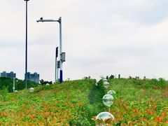 -天鹅湖体育公园