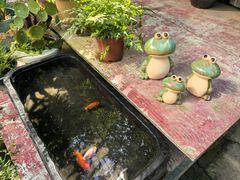 -桂林市花鸟市场