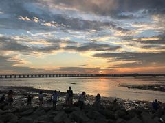 -宝安西湾红树林湿地公园