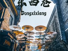 -东西巷