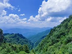 -牛背梁国家森林公园