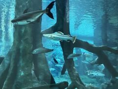 -福州罗源湾海洋世界旅游区