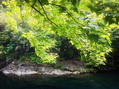 -石台牯牛降景区