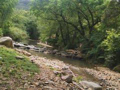 -北仑森林植物园