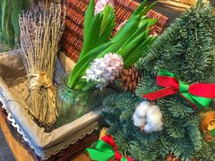 -植物学家的女儿(北马道巷店)