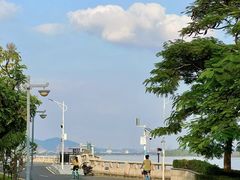 -长洲岛