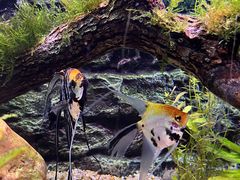 -上海海洋水族馆