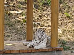 -石家庄市动物园