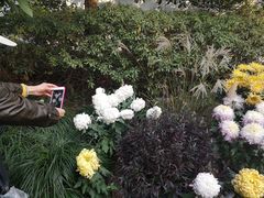 -杭州植物园