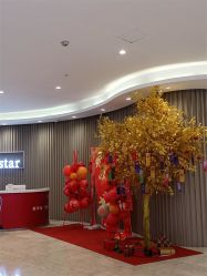 -Yestar重庆艺星医疗美容医院