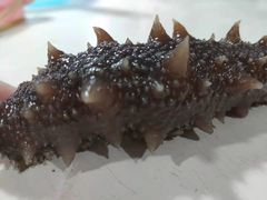 大连海参-丁字口海鲜热炒·烧烤大排档