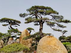 -罗红摄影艺术馆