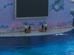 -北戴河圣蓝海洋公园
