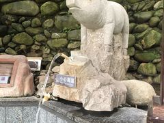 -宜春明月山维景国际温泉度假酒店