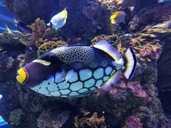 -成都浩海立方海洋公园