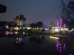 -洪湖家庭农场·团建·露营·会议