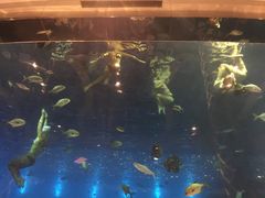 -瑞德姆美人鱼海底演艺主题餐厅(亚龙湾店)