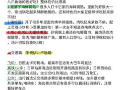 -日照海滨国家森林公园