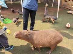 -昆明动物园