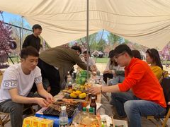 -TIPPI营地 房车主题·露营烧烤团建轰趴(天安假日店)