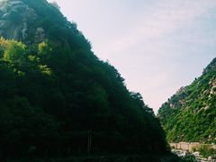 -王顺山国家森林公园