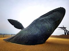 -烟台金沙滩海滨公园