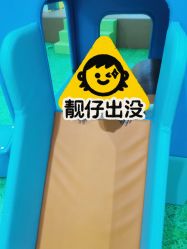 -汤姆小鸟(无锡宝龙广场店)