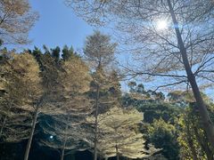 -厦门悦华酒店