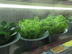 -老马路串串香火锅(北门桥店)