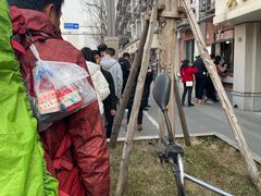 -邓氏兔头