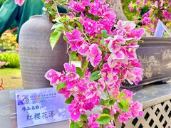-莲花山公园