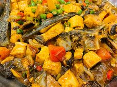 啤酒豆腐焖鲶鱼-桂客膳房·珍品堂