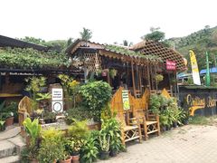 -Jungle Kitchen