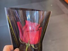 -蓉匠川串火锅(星光综合楼店)