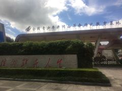 -全国青少年井冈山革命传统教育基地