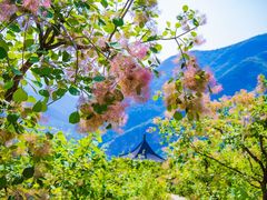 -周口店坡峰岭风景区